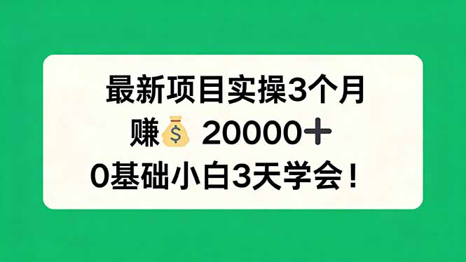 最新项目实操3个月，赚钱20000+，0基础小白3天学会！-laogaiwz